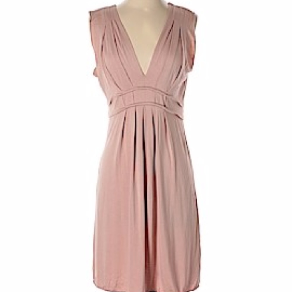 NWT Max Studios Specialty Project Dress